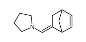 1-norborn-5-en-2-ylidenemethyl-pyrrolidine结构式