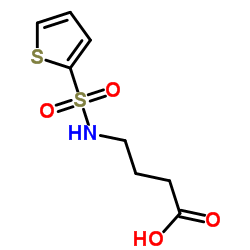 4-(THIOPHENE-2-SULFONYLAMINO)-BUTYRIC ACID picture