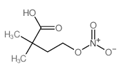 Butanoic acid,2,2-dimethyl-4-(nitrooxy)- Structure