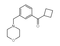 CYCLOBUTYL 3-(MORPHOLINOMETHYL)PHENYL KETONE structure