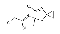 2-chloro-N-(6-methyl-5-oxo-4-azaspiro[2.4]heptan-6-yl)acetamide Structure