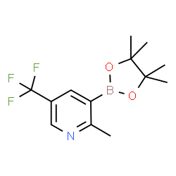 2-Methyl-5-trifluoromethylpyridine-3-boronic acid pinacol ester Structure