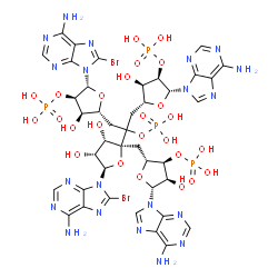 5'-monophosphoryladenylyl-(2'-5')adenylyl-(2'-5')-8-bromoadenylyl-(2'-5')-8-bromoadenosine Structure