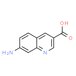 7-aminoquinoline-3-carboxylic acid structure