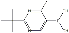 4-Methyl-2-(tert-butyl)pyrimidine-5-boronic acid Structure
