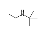 2-methyl-N-propylpropan-2-amine结构式