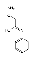 2-aminooxy-N-phenylacetamide Structure