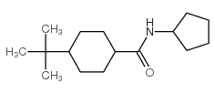 Cyclohexanecarboxamide, N-cyclopentyl-4-(1,1-dimethylethyl)- (9CI)结构式