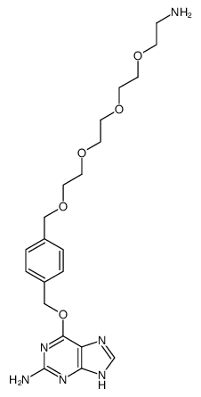 O6-[4-(13-amino-2,5,8,11-tetraoxa-tridecyl)-oxymethylbenzyl]guanine Structure