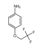 4-(2,2,2-trifluoroethoxy)aniline picture