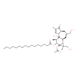 croton factor F2 structure