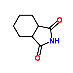 cis-Hexahydro-1H-isoindole-1,3(2H)-dione picture