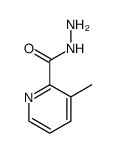 3-methylpicolinohydrazide结构式