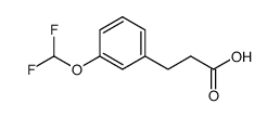 3-[3-(Difluoromethoxy)phenyl]propionic acid结构式