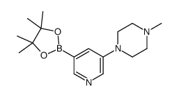 1-methyl-4-(5-(4,4,5,5-tetramethyl-1,3,2-dioxaborolan-2-yl)pyridin-3-yl)piperazine structure