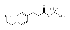 TERT-BUTYL 3-(4-(2-AMINOETHYL)PHENYL)PROPANOATE结构式