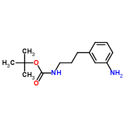 3-(3-Boc-aminopropyl)aniline结构式