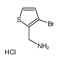 (3-溴噻吩-2-基)甲胺盐酸盐结构式