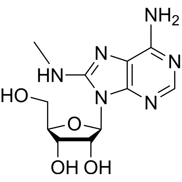 2-(6-amino-8-methylamino-purin-9-yl)-5-(hydroxymethyl)oxolane-3,4-diol structure