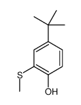 4-tert-butyl-2-methylsulfanylphenol结构式