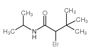 N1-ISOPROPYL-2-BROMO-3,3-DIMETHYLBUTANAMIDE picture