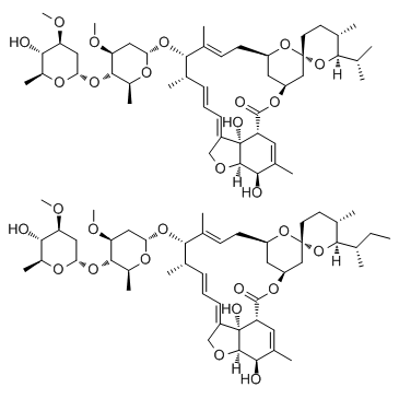 Ivermectin picture