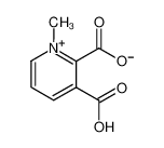 2,3-dicarboxy-1-methyl-pyridinium betaine结构式