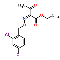 ETHYL 2-([(2,4-DICHLOROBENZYL)OXY]IMINO)-3-OXOBUTANOATE structure