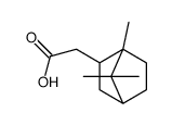 2-(4,7,7-trimethyl-3-bicyclo[2.2.1]heptanyl)acetic acid结构式