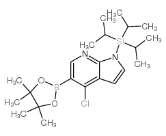 4-氯-1-(三异丙基甲硅烷基)-1H-吡咯并[2,3-b]吡啶-5-硼酸频那醇酯结构式