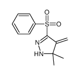 3-(benzenesulfonyl)-5,5-dimethyl-4-methylidene-1H-pyrazole结构式