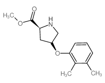 Methyl (2S,4S)-4-(2,3-dimethylphenoxy)-2-pyrrolidinecarboxylate结构式