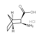(cis)-2-amino-3-carboxybicyclo[2.2.1]heptane hydrochloride Structure