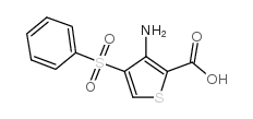 3-AMINO-4(PHENYLSULFONYL)THIOPHENE-2-CARBOXYLIC ACID picture