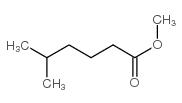 methyl 5-methylhexanoate Structure
