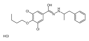 4-butoxy-3,5-dichloro-N'-(1-phenylpropan-2-yl)benzohydrazide,hydrochloride Structure
