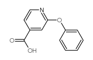 2-phenoxy isonicotinic acid Structure