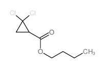butyl 2,2-dichlorocyclopropane-1-carboxylate结构式