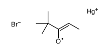 bromo-(4,4-dimethyl-3-oxopentan-2-yl)mercury Structure
