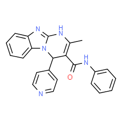 2-methyl-N-phenyl-4-(pyridin-4-yl)-1,4-dihydropyrimido[1,2-a]benzimidazole-3-carboxamide Structure