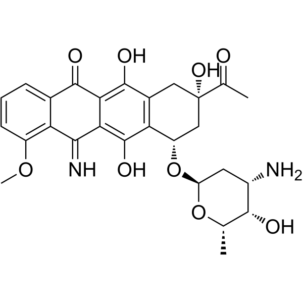 5-Iminodaunorubicin structure