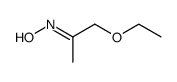 1-ethoxy-2-propanone oxime Structure