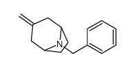 8-benzyl-3-methylidene-8-azabicyclo[3.2.1]octane结构式