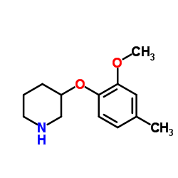 3-(2-Methoxy-4-methylphenoxy)piperidine Structure