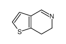 6,7-Dihydrothieno[3,2-C]-pyridine Structure