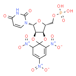 2',3'-O-(2,4,6--trinitrocyclohexadienylidene)uridine 5'-monophosphate Structure