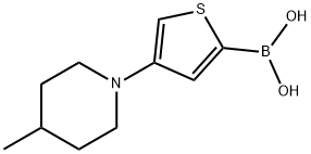 4-(4-Methylpiperidin-1-yl)thiophene-2-boronic acid图片