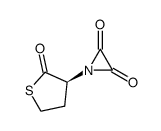 oxalyl homocysteine thiolactone Structure
