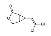 6-(2,2-dichloroethenyl)-3-oxabicyclo[3.1.0]hexan-2-one Structure