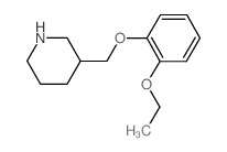 3-[(2-乙氧基苯氧基)甲基]哌啶结构式